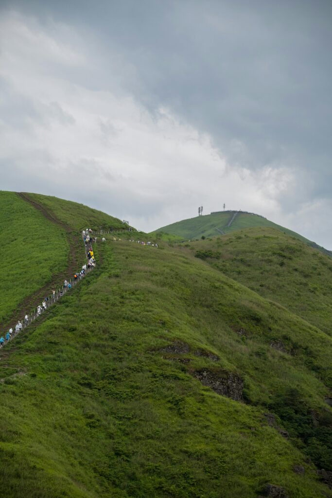 pexels 639088494 17717286 pexels 639088494 17717286