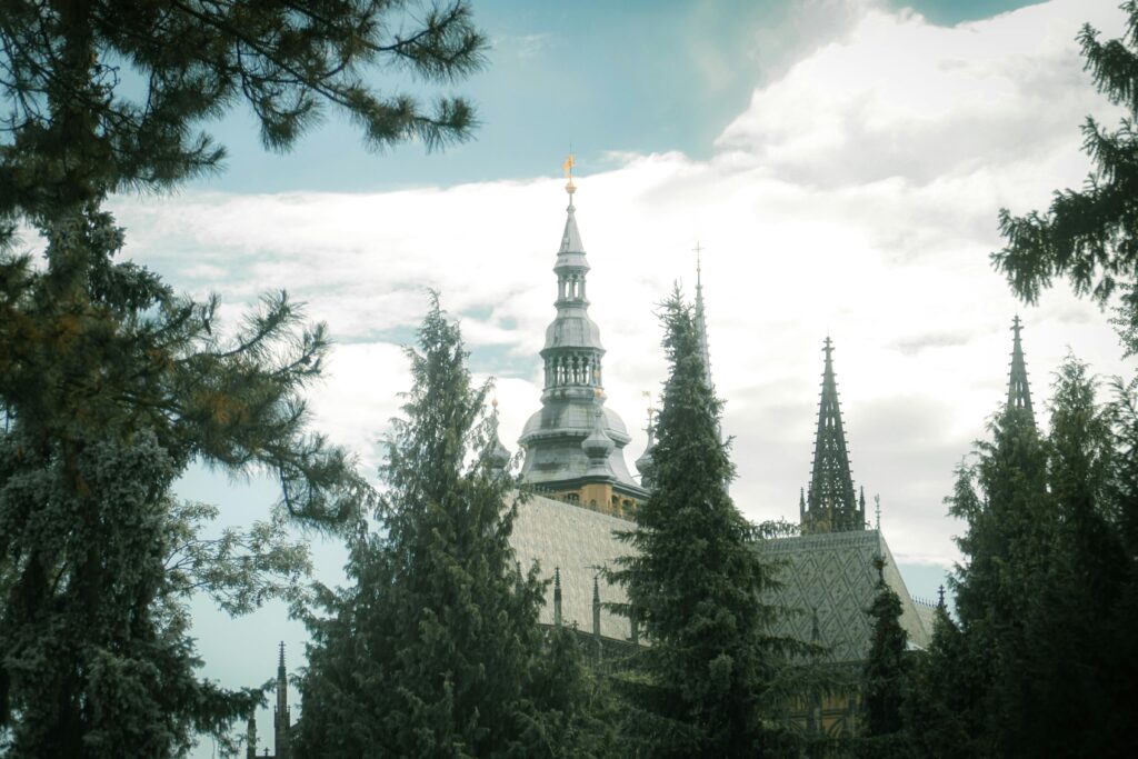 pexels simeon maryska 2003803697 32765573